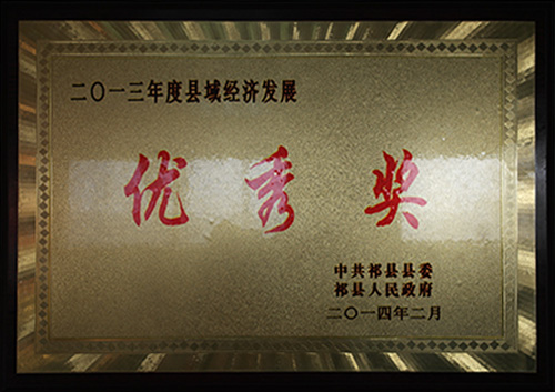 優(yōu)秀獎