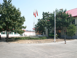 公司環(huán)境
